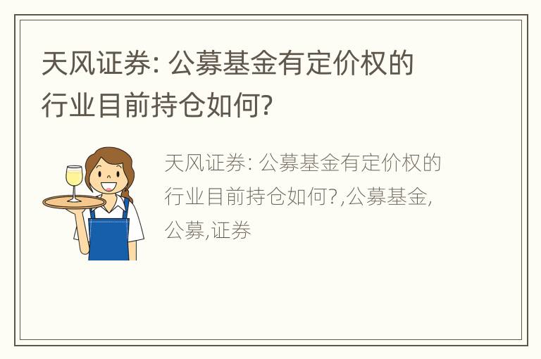 天风证券：公募基金有定价权的行业目前持仓如何？