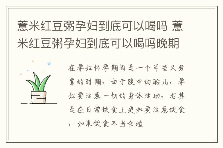 薏米红豆粥孕妇到底可以喝吗 薏米红豆粥孕妇到底可以喝吗晚期