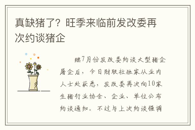 真缺猪了？旺季来临前发改委再次约谈猪企