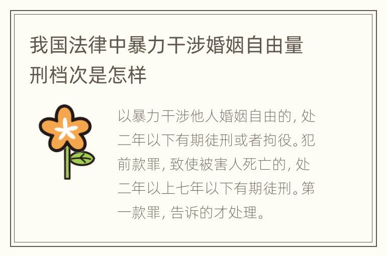 我国法律中暴力干涉婚姻自由量刑档次是怎样