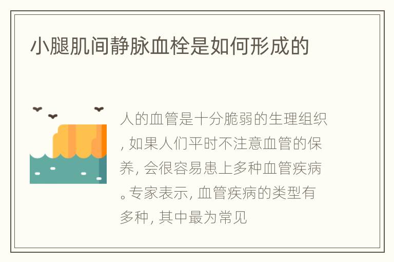 小腿肌间静脉血栓是如何形成的