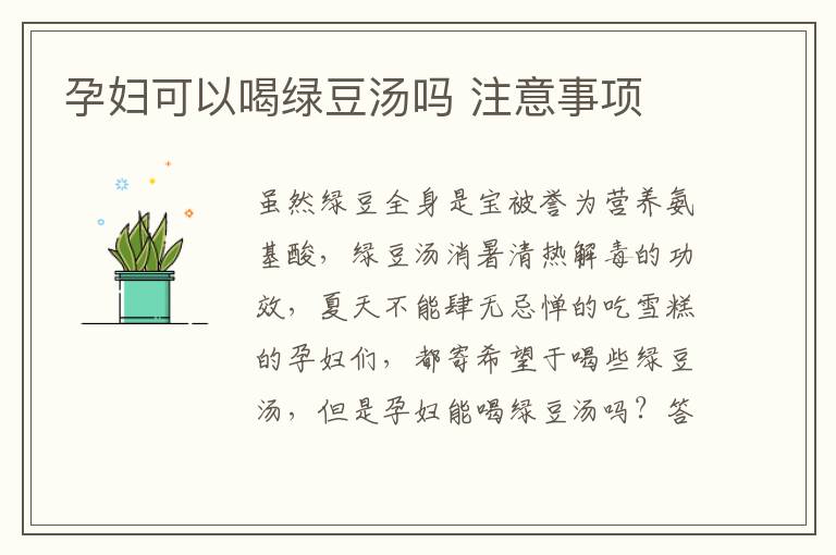 孕妇可以喝绿豆汤吗 注意事项