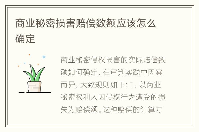 商业秘密损害赔偿数额应该怎么确定