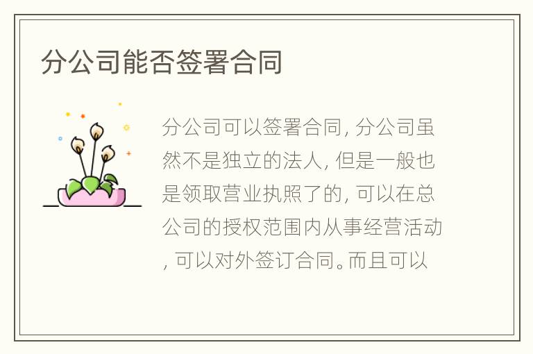 分公司能否签署合同