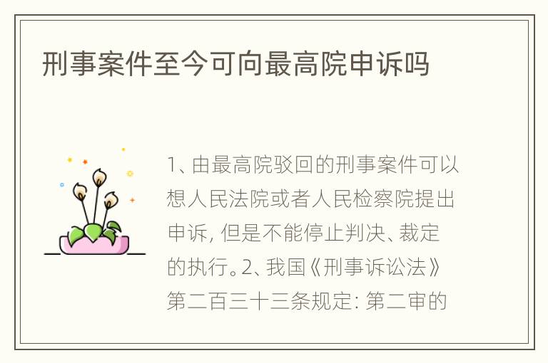 刑事案件至今可向最高院申诉吗