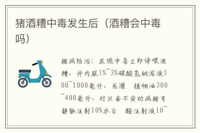 猪酒糟中毒发生后（酒糟会中毒吗）
