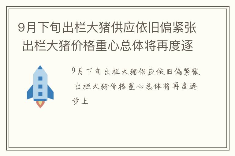9月下旬出栏大猪供应依旧偏紧张 出栏大猪价格重心总体将再度逐步上