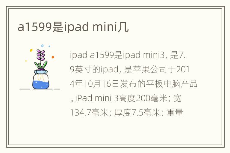 a1599是ipad mini几