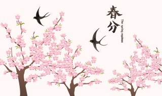 春分竖蛋意味着什么 春分竖蛋有什么意义吗