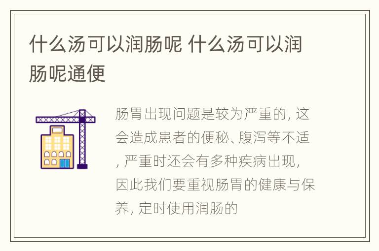 什么汤可以润肠呢 什么汤可以润肠呢通便