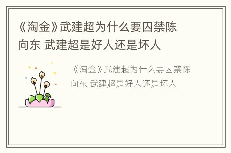 《淘金》武建超为什么要囚禁陈向东 武建超是好人还是坏人