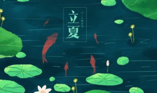 立夏和夏至的区别 立夏和夏至的区别是什么