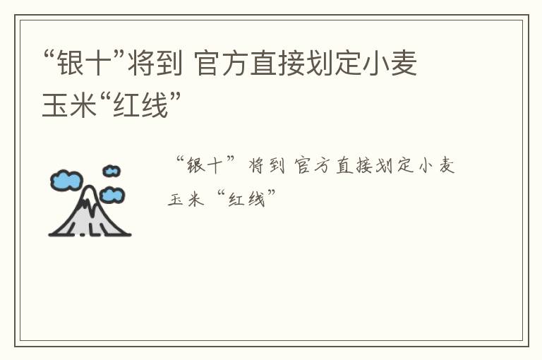 “银十”将到 官方直接划定小麦玉米“红线”