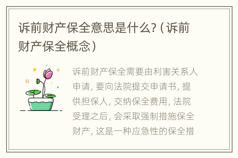诉前财产保全意思是什么?（诉前财产保全概念）