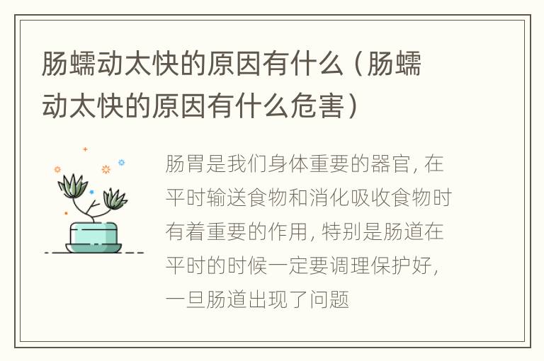 肠蠕动太快的原因有什么（肠蠕动太快的原因有什么危害）