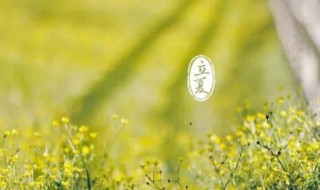 立夏怎样养生 立夏如何养生