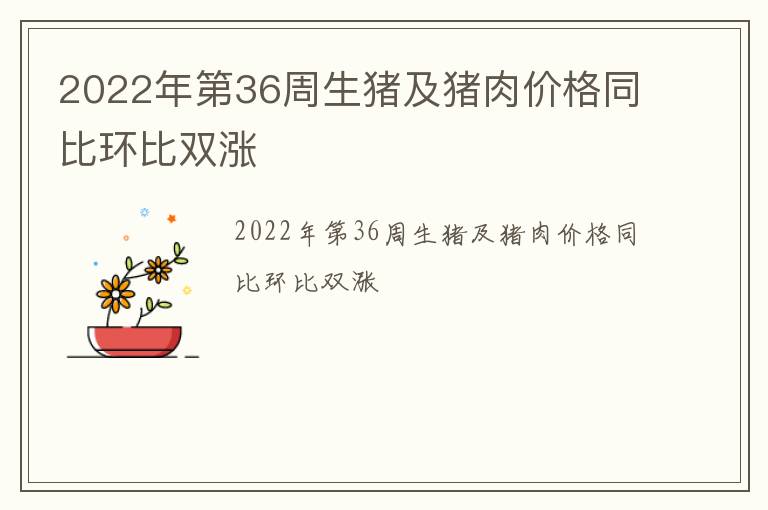 2022年第36周生猪及猪肉价格同比环比双涨