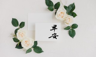 最暖心的早安问候语有哪些 最暖心的早安问候语精选