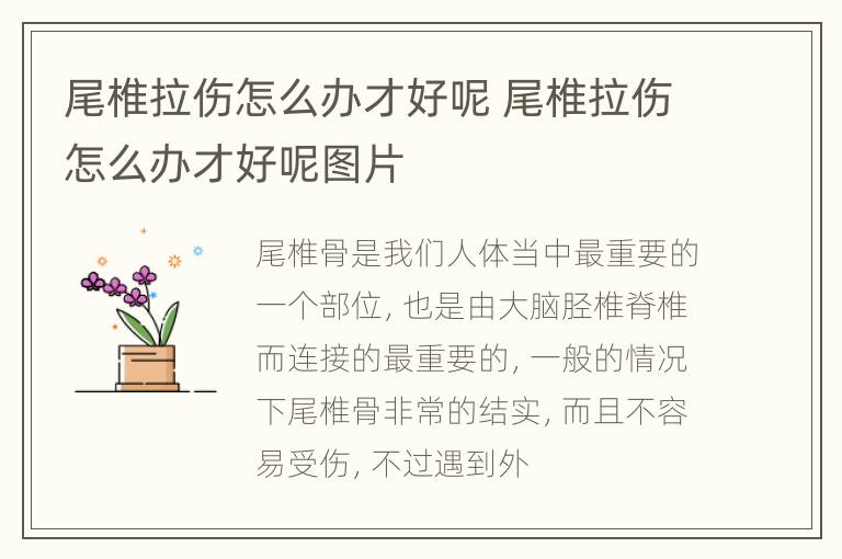 尾椎拉伤怎么办才好呢 尾椎拉伤怎么办才好呢图片