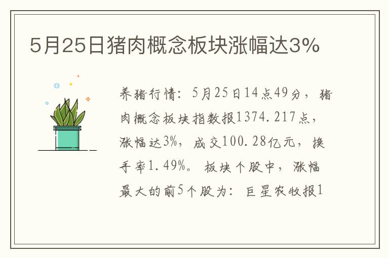 5月25日猪肉概念板块涨幅达3%