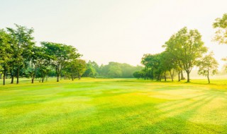 踏青是什么节日的风俗 踏青风俗出自哪个节日