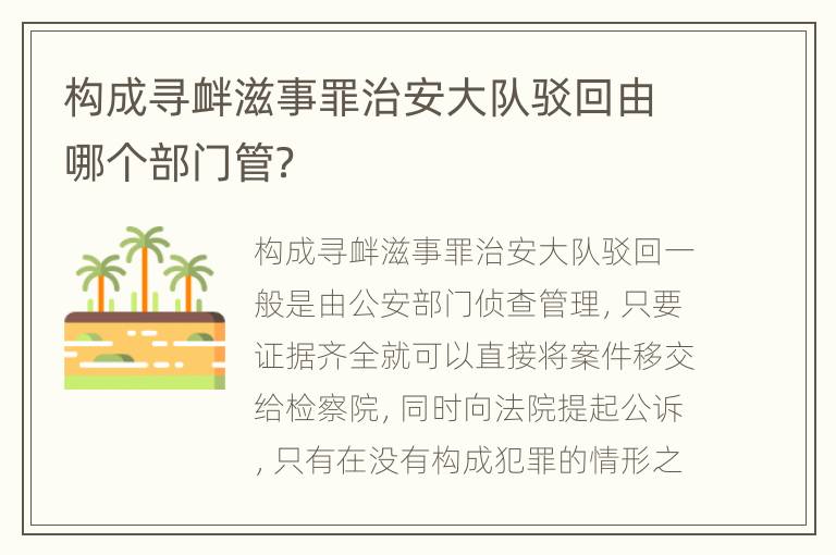 构成寻衅滋事罪治安大队驳回由哪个部门管？