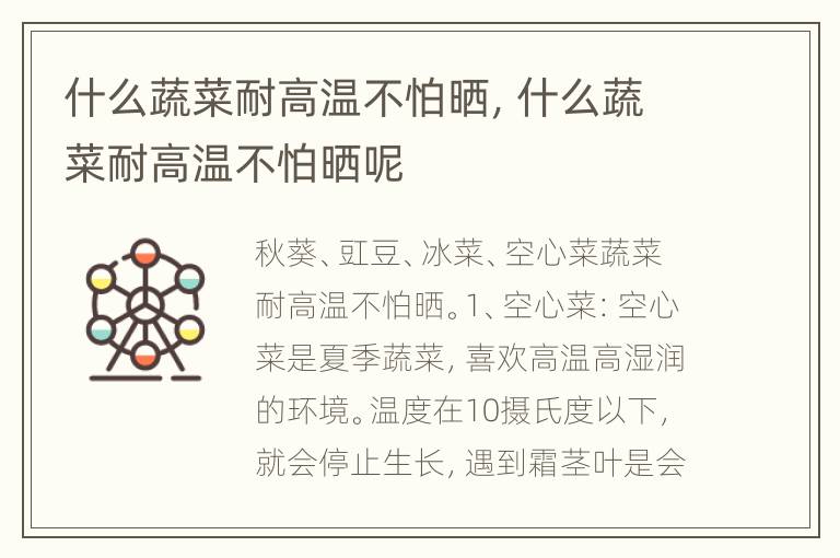 什么蔬菜耐高温不怕晒，什么蔬菜耐高温不怕晒呢