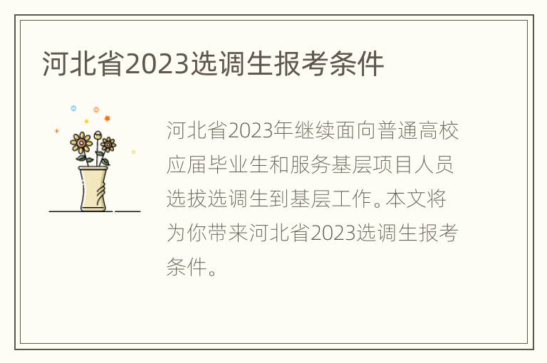 河北省2023选调生报考条件