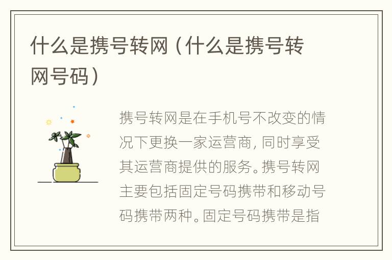 什么是携号转网（什么是携号转网号码）