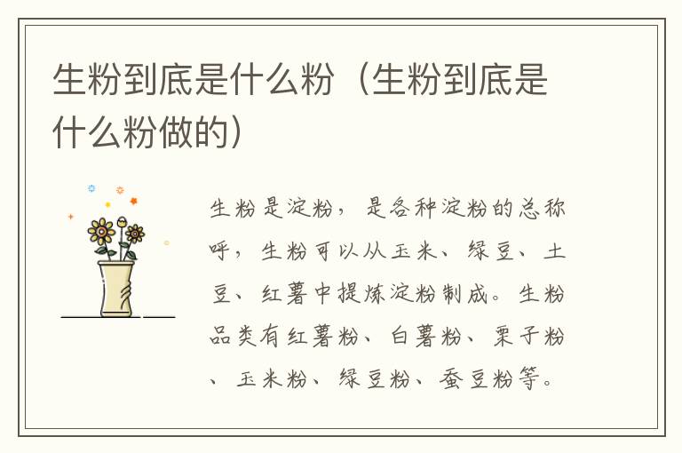 生粉到底是什么粉（生粉到底是什么粉做的）