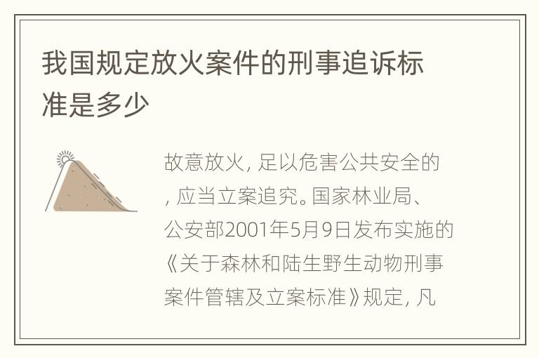 我国规定放火案件的刑事追诉标准是多少