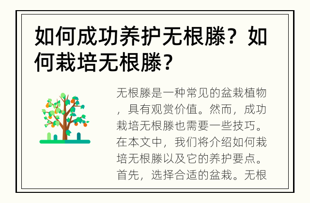 如何成功养护无根滕？ 如何栽培无根滕？