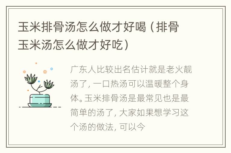 玉米排骨汤怎么做才好喝（排骨玉米汤怎么做才好吃）