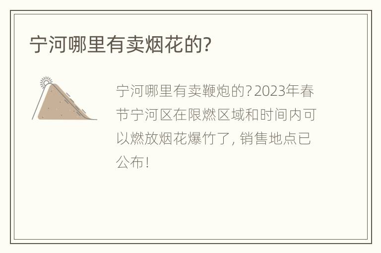 宁河哪里有卖烟花的？