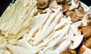 菌类可以隔夜吃吗 菌类可不可以隔夜吃