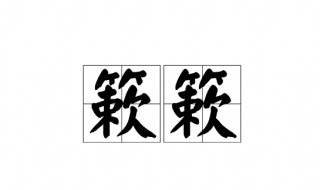 簌簌的意思 簌簌怎么读