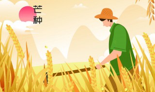 盘点有关芒种的诗句大全 关于芒种的诗句有哪些