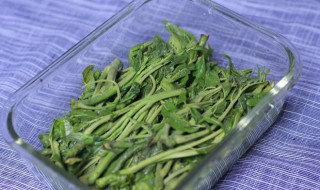 腌香椿芽的做法 腌香椿芽怎么做