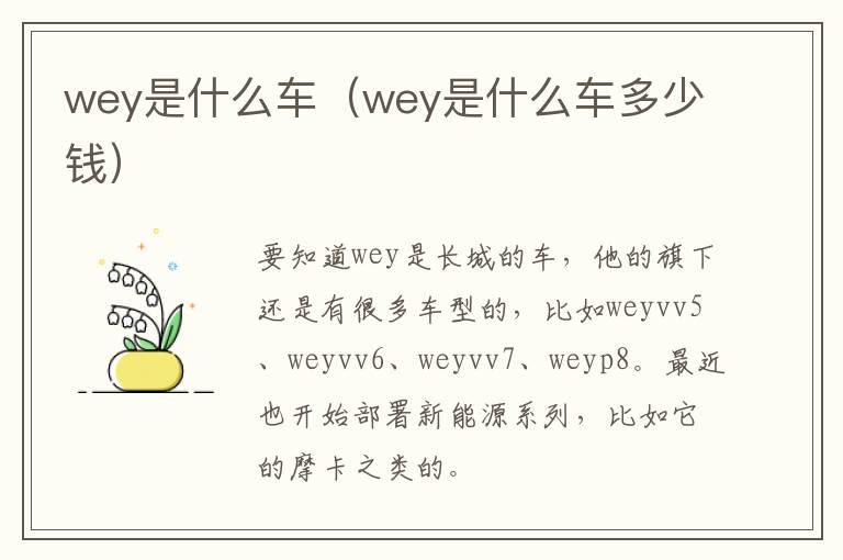 wey是什么车（wey是什么车多少钱）