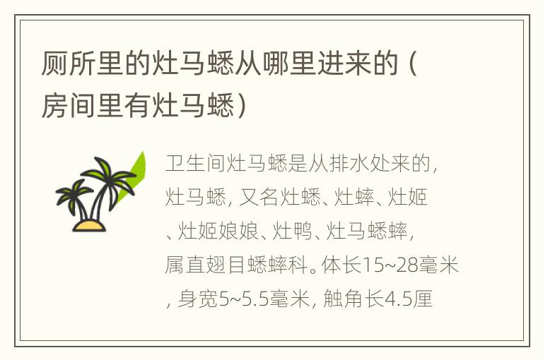 厕所里的灶马蟋从哪里进来的（房间里有灶马蟋）