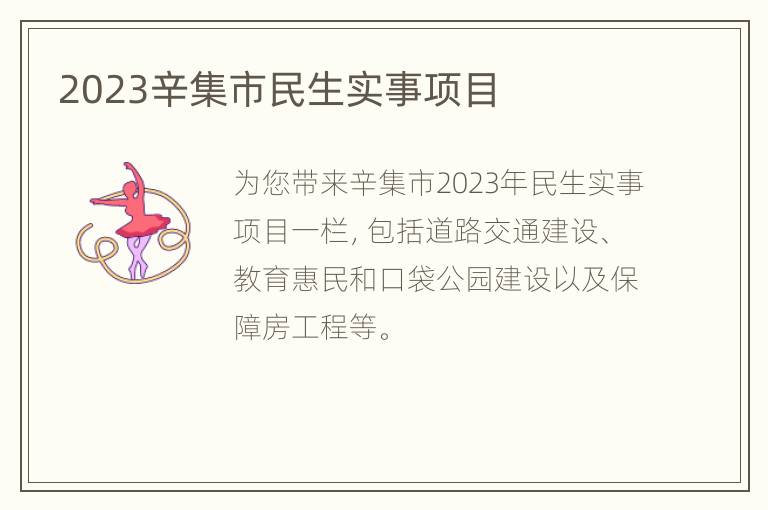 2023辛集市民生实事项目