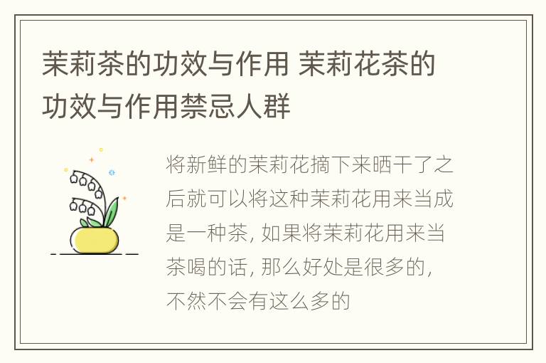 茉莉茶的功效与作用 茉莉花茶的功效与作用禁忌人群