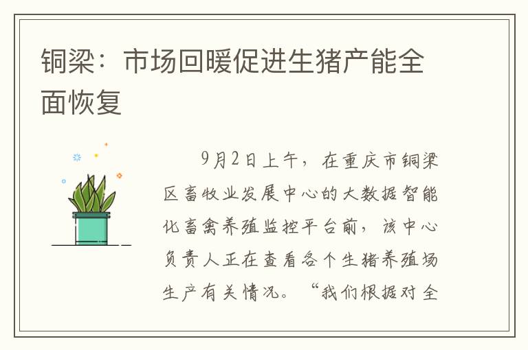 铜梁：市场回暖促进生猪产能全面恢复