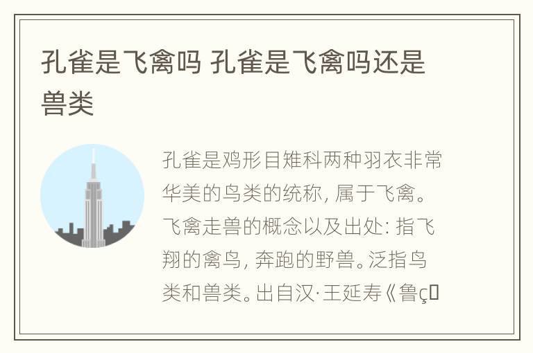 孔雀是飞禽吗 孔雀是飞禽吗还是兽类
