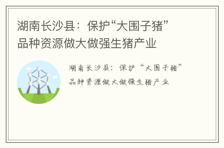 湖南长沙县：保护“大围子猪”品种资源做大做强生猪产业