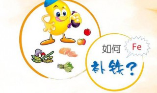 补铁最快最好方法 怎么补铁好