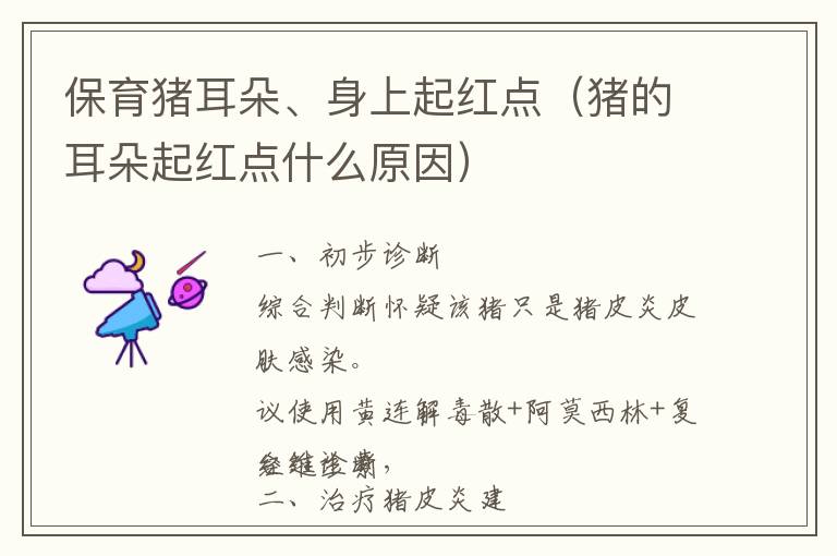 保育猪耳朵、身上起红点（猪的耳朵起红点什么原因）