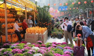 春花的诗句 春花的经典诗句