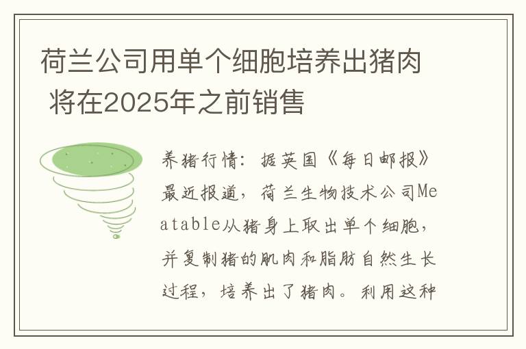 荷兰公司用单个细胞培养出猪肉 将在2025年之前销售
