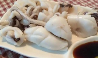 墨鱼壳的作用与功效 墨鱼壳的作用与功效有哪些